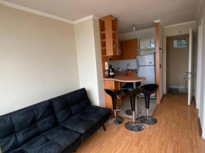 Acogedor departamento Santiago Centro 509